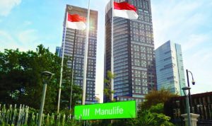 image_1771108549926_aoouer