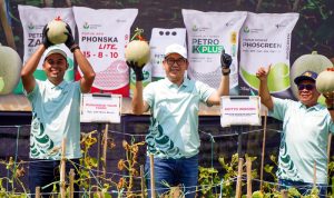foto direktur petro panen melon