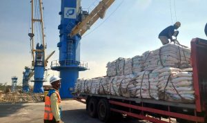Suasana bongkar muat di pelabuhan Gresik