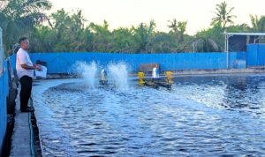 IMG_20261030_184002
